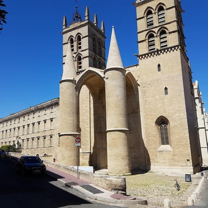 Appartement Cosy Et Calme - Centre Historique مونبيلييه المظهر الخارجي الصورة